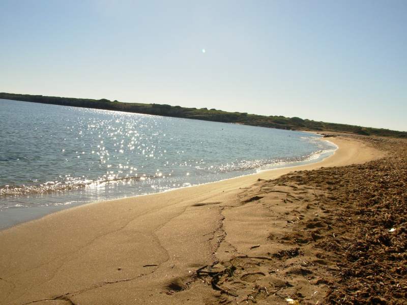 Arenella spiagge vendicari