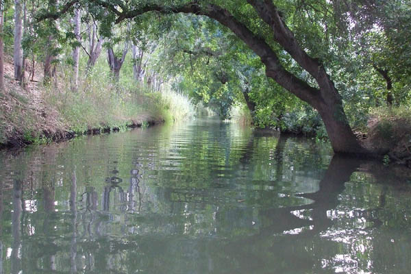 Fonte del fiume Ciane